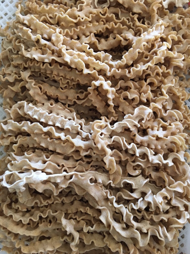 Bulk Upload